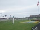 View of the track from the infield at Del Mar Race Track