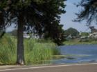 The Buena Vista Lagoon bordering Oceanside and Carlsbad - a great fishing spot