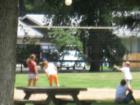 Vollyball Nets in the Park