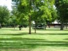 Lush open park