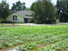 Are you looking for a home where you can grow your own vegetables and fruits out front?
      
      Durham, California is the place!
