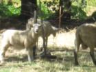 Durham,California isn't a baaaaaaad place to live!
      
      Little humor :)
