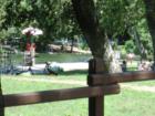 Summertime at One Mile in Lower Park of Bidwell Park in Chico,California