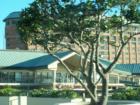 Harbour Island