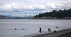 Alki Beach 