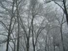 Lake Anne
