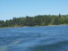 Minnesota has many great lakes - Bland Lake is one of them!