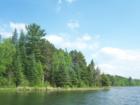 Minnesota's beautiful shoreland needs to be protected.  Isn't this beautiful???