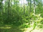 Lots of trails nearby for ATV rides and hiking!
