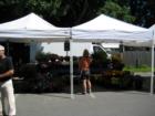 Flowers for Sale at Farmer's Market