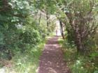 Enderts Beach trail, Crescent City, CA