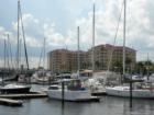 Boats at the Twin Dolphin Marina