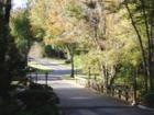 This beautiful community is one of the few in Gainesville that is surrounded by trees and lush landscaping. 1, 2 and 3 bedrooms newly renovated all new appliances, pool, 24 hour fitness center and clubhouse. Call 352-374-2003 for more info.