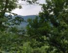 The mountain view in Whittier,NC!