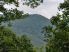 A great mountain view in Whittier,NC!