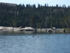 Lake Alpine near Bear Valley CA