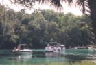 Fanning Springs, Florida
