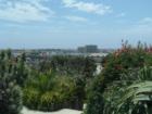 Newport Heights