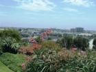 Newport Heights