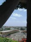 Newport Heights