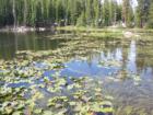 Mosquito Lake near Bear Valley 
      