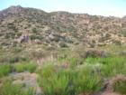 Piedra Lisa Canyon.  Located in the foothills of the Sandia's east of Tramway south of Candelaria.  