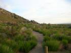 Path in Piedra Lisa Canyon. Part of the Open Space. Located in the foothills of the Sandia's in the Glenwood Hills neighborhood. 