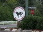 Medina is noted for its many equestrian estates.  One such equestrian neighborhood is Hollybush Hills, at the intersection of Willow Drive and County Road 24.