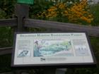 Details of the Shoreline Habitat Restoration Project at Nelson Lakeside Park, Long Lake Minnesota
