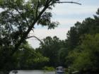 Want this view in your backyard? -- you can at Lake Barcroft in Falls Church with a 135 acre lake and 5 private beaches!
