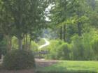 Weddington Chase Walking Trails