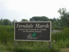 The Ferndale Marsh in Wayzata is part of The Nature Conservancy.
