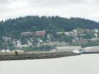 Western Washington University and Sehome Arboretum