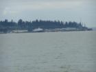 South Bellingham port area including Alaska Ferry Terminal