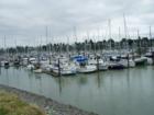 A small part of Squalicum Marina