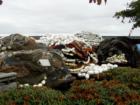 Assorted fishing nets
