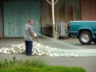Net repair
