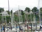 Eldridge Street bluff from Squalicum Harbor