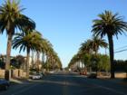 California Blvd. 2 Blocks From Cal Poly