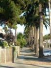 California Blvd. Cal Poly