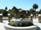 Cal Poly