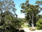 Cal Poly Campus