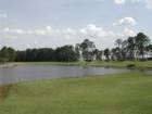 Matanzas Woods Golf Course II