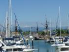 Tall ships and Mt. Baker, Squalicum Harbor