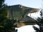 The famous "walk-through" Muskie at the National Freshwater Fishing Hall of Fame, Hayward, Wisconsin
