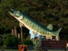 This one's a keeper!  Another fishing exhibit at the Freshwater Fishing Hall of Fame in Hayward, Wisconsin