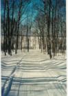Bayfield winter scene