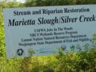 Marrieta Slough/Silver Creek Riparian Area  restoration project
