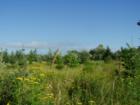 Marrieta Slough/Silver Creek riparian area