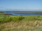 Low tide at Lummi lagoon